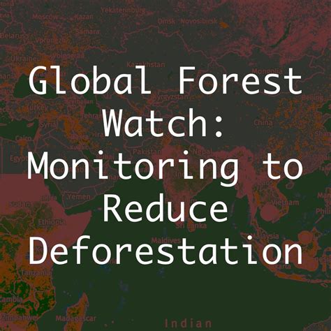 global forest watch fake news|Harnessing the Power of Global Forest Watch for Data.